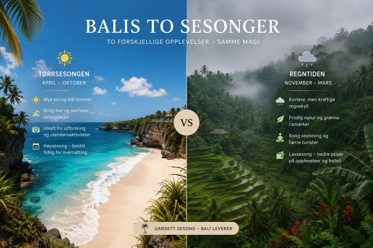 Rainy Season in Bali: When Is It and Is It Worth It?