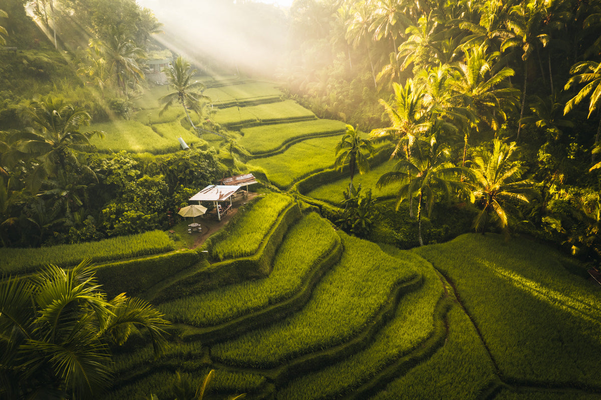 Vegard’s Ubud tips – the hotels, restaurants and places I’d choose myself