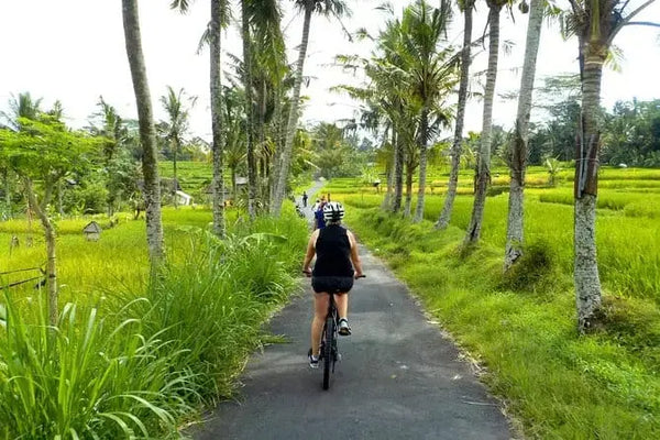 Bali Highlights 