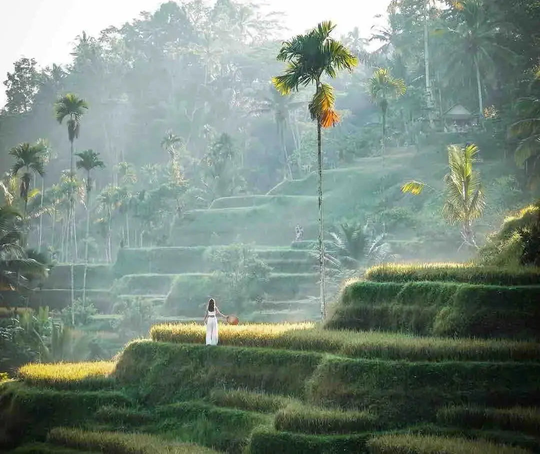 Tegallalang Rice Terrace ved Ubud