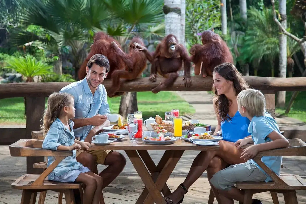 Frokost med orangutanger
