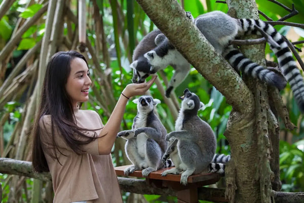 Bali Zoo