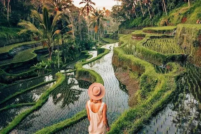 Tegallalang Rice Terrace med omvisning