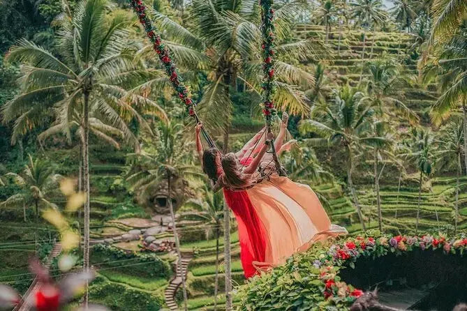 Jungle swing ved Tegallalang Rice Terrace