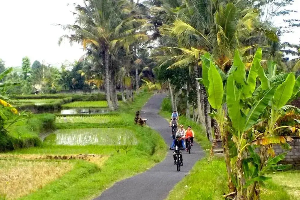 Bike Tour Ubud